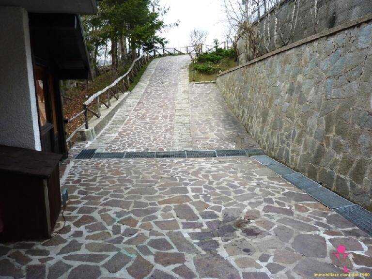 220520101803p1020809