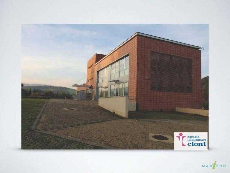 Affitto-Fondo-Commerciale-D1-Mq-400-Grassina-Scolivigne-Bagno-a-Ripoli-Giardino-Mq-100-Posti-auto-14-34