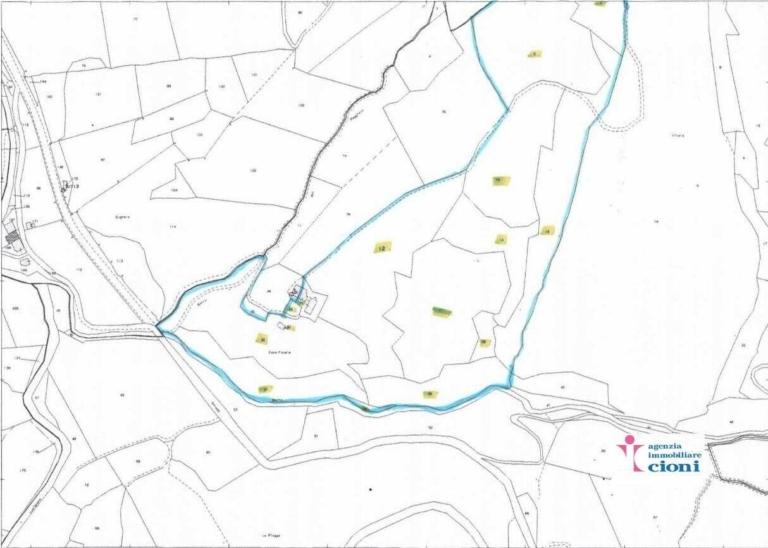 Azienda-Agricola-Maneggio-Chianti-Colli-Aretini-Ambra-2