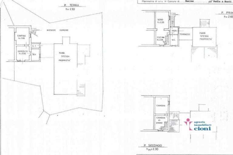 Azienda-Agricola-Maneggio-Chianti-Colli-Aretini-Ambra