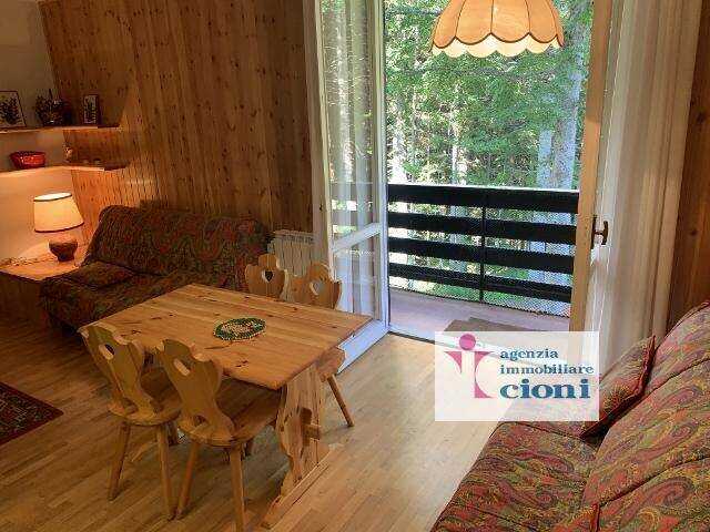 Monolocale-Abetone-Boscolungo-Mq-49-Posto-auto-Cantina-26