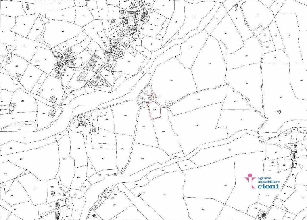 img20210816_09073102_Pagina_3-1280×908-1