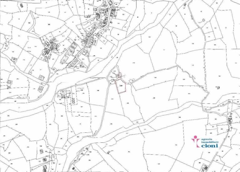 img20210816_09073102_Pagina_3-1280×908-1